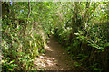 Footpath to Meavy