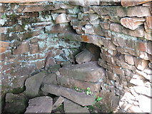 NY8442 : Lime kiln east of Clarty Lane - draw hole by Mike Quinn