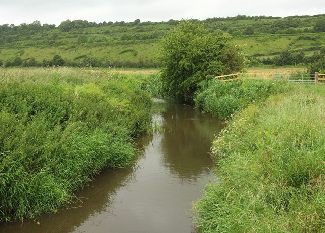 River Cary near Charlton Mackrell