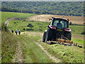 TQ5300 : Mowing a field margin by Robin Webster