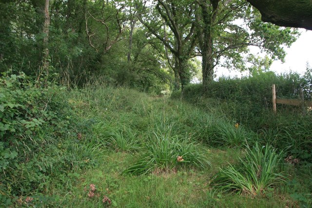 Woodland and path near Prime Coppices