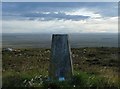 ND3769 : Triangulation pillar, Warth Hill, Caithness by Claire Pegrum