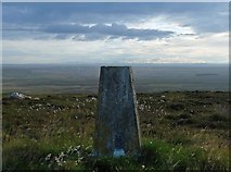 ND3769 : Triangulation pillar, Warth Hill, Caithness by Claire Pegrum