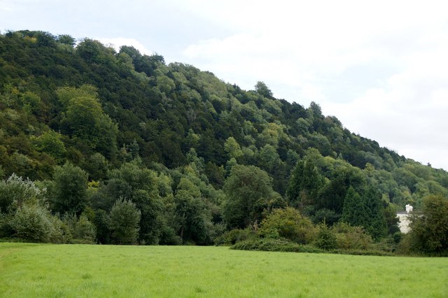 The west side of Box Hill