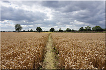 SE6333 : Path leading to the A19 and Selby by Ian S