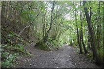 SO3474 : Path in a gully, Bucknell by Richard Webb