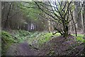 SO3374 : Path in a gully, Bucknell by Richard Webb