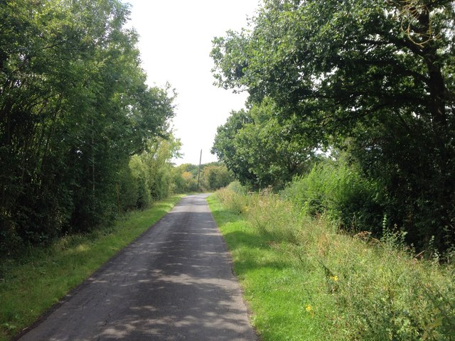 Tilden Lane, near Marden