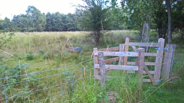 Gate and trough beside Humberhead Peatlands path