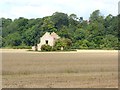 Ruined barn at Baydale Farm