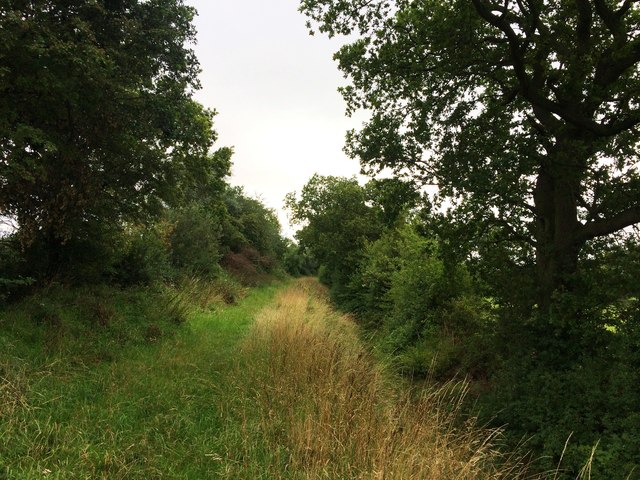 Farm Track and Byway near Braithwaite