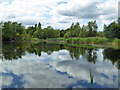 Fishing Lake, Bedfont Lakes Country Park