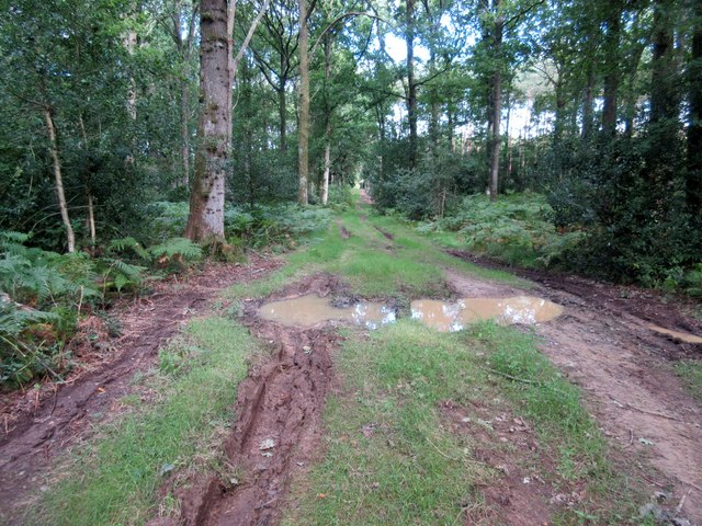 Muddy track