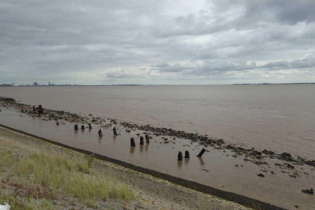 Banks of the Humber