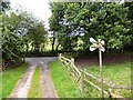 Farm track off Tickhill Lane