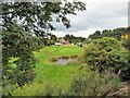 Cresswellford Farm and pond