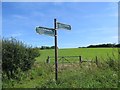 Public bridleway and footpath junction with Burnt House Lane (public road)