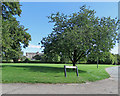 TL6548 : Withersfield: Burton Green by John Sutton