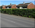 Basildene Close houses, Gilwern