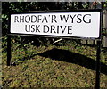 Bilingual name sign on a Gilwern corner