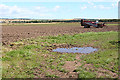 Field near Border Farm