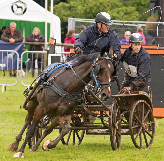 The Lowther Show - 12 August 2017 (9)