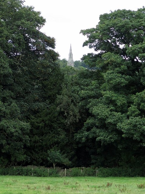 Spire of St Mary's Church from Hill House Farm