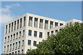 View of the Credit Suisse building peeping above the trees in Westferry Circus from Canary Riverside