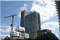 View of buildings near Marsh Wall from the Thames Path #2