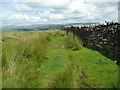 On the footpath from Holden Moor to Whelpstone Lodge, Rathmell