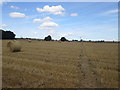 Bridleway northwest of Fox Flat Plantation