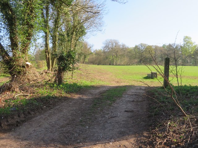 Field by Patchbourne Wood
