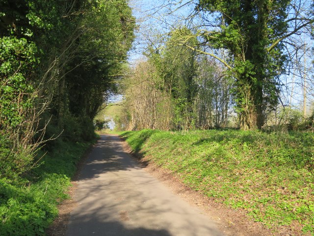 Lane towards Ibworth