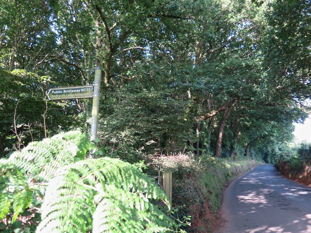 Public Bridleway NC20 entering Borthwood Copse, Isle of Wight