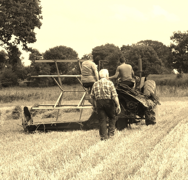 Harvesting In The 1950s © Evelyn Simak Geograph Britain And Ireland 6845
