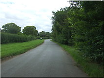TL4379 : Bury Lane towards Sutton-in-the-Isle by JThomas