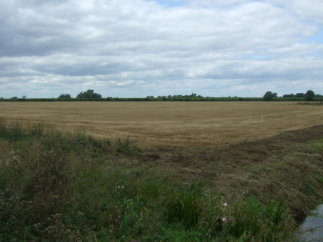 Stubble field, South Fen Farm