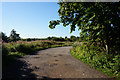 Track leading to Fulford Ings