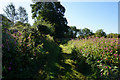 Path leading to Fulford