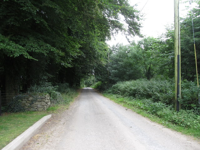 Mountain Road entering Ballyherly Wood