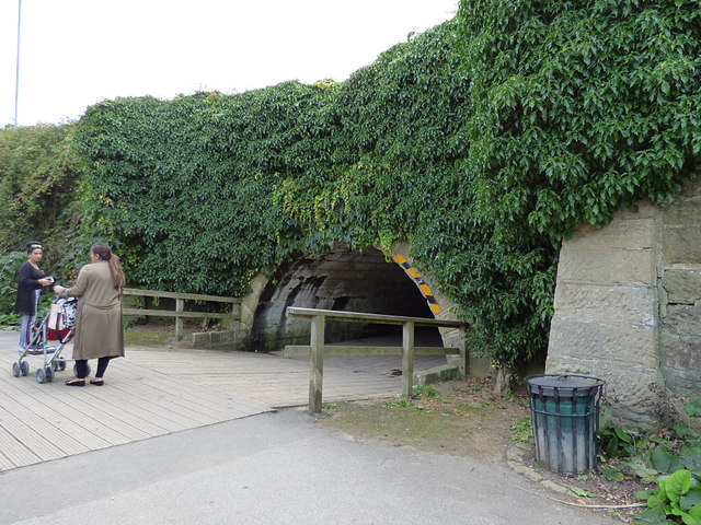 Subway under Otley Road, Golden Acre Park