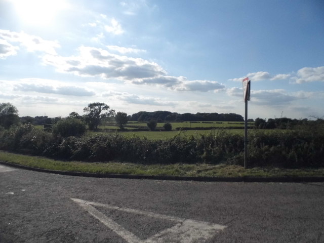 Field by Brill Road, Boarstall