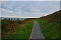 SS6287 : The Mumbles : Wales Coast Path by Lewis Clarke