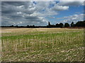 SJ6015 : Harvested field west of Sugdon Farm by Richard Law