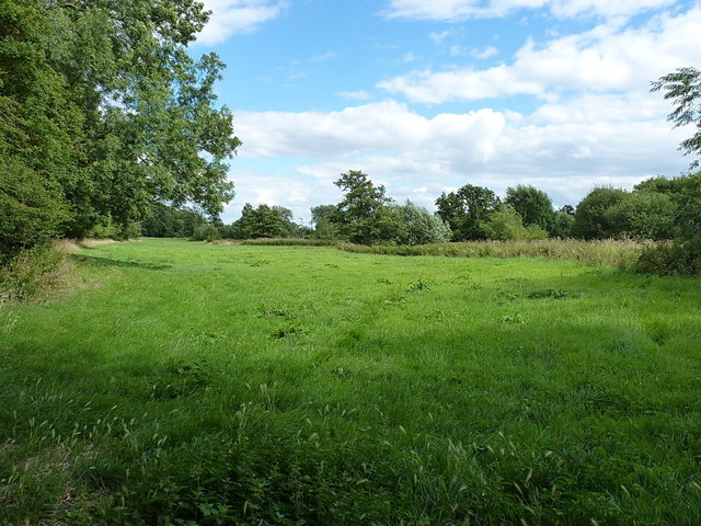 Water meadows of the River Roden