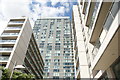 View of The Landmark Apartments from Cuba Street #2