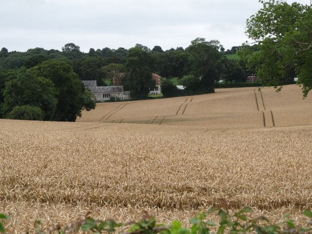 Undulating grain fields between Ardquin Church and Thomastown House