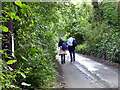 Walking to Fowey