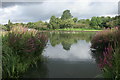 Pond, Knightswood Park