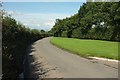 Roadside verge, Castle Brake Holiday Park